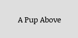 A Pup Above Promo Code, Coupons Codes, Deal, Discount