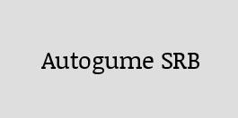 Autogume SRB Promo Code, Coupons Codes, Deal, Discount