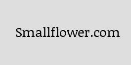 Smallflower.com Promo Code, Coupons Codes, Deal, Discount